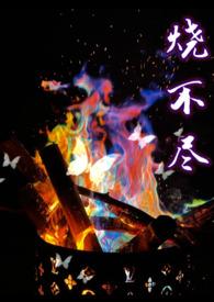 烧不尽by剧透