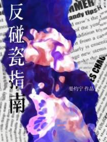 反碰瓷指南TXT百度