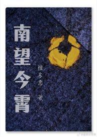 南望今宵歌词