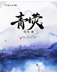 琳琅愈青荧