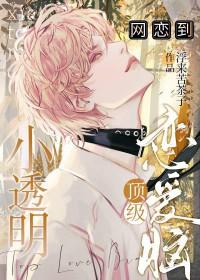 小透明网恋到顶级恋爱脑txt