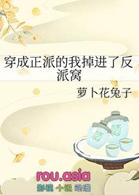 穿成反派的政敌全文免费阅读