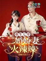 重生七零嫁二婚免费