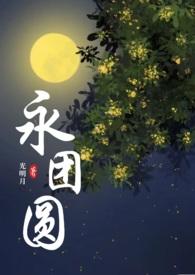 永团圆光明月txt资源
