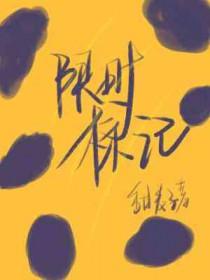 限时时间是什么意思