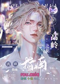 高岭之花攻略指南书包网