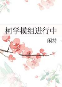 柯南模型