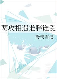 两攻相遇资源