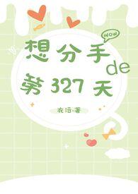 分手第三十三天
