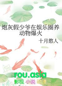 炮灰假少爷重