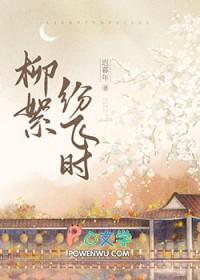 柳絮纷飞的歌词