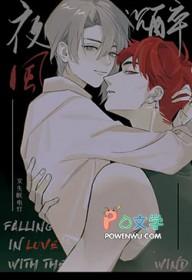夜风什么意思