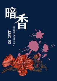 暗香(舅甥&nbsp;&nbsp;1v1H)