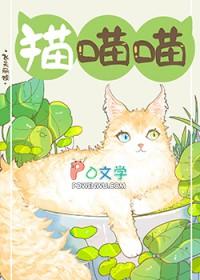 捡到一直流浪猫