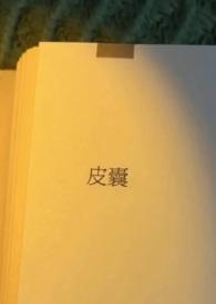 皮囊(出轨)全文