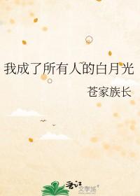 穿越后我成了所有人的白月光