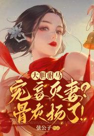 驸马驸马