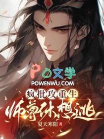 疯批攻穿书