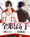 全职高手TXT