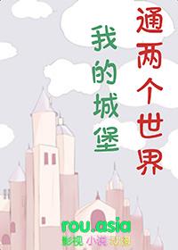 我的世界里面的城堡