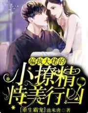重生甜宠偏执大佬