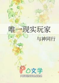 游戏唯一玩家