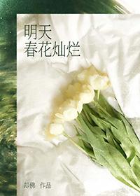春花灿烂桃花开什么意思