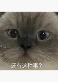 重生回强上男主的后一天作者棠月