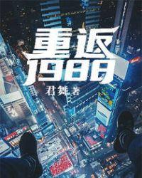 重返1988陆峰全文TXT
