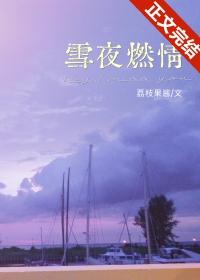 雪夜阅读