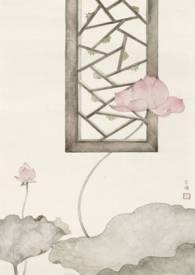 愿我如星君如月 夜夜流光相皎洁