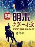 明末边军一小兵作者老白牛