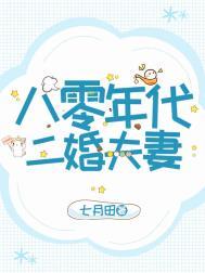 八零年代二婚妻免费阅读