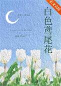 白色鸢尾花全文免费阅读