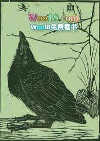空壳子是什么意思
