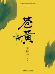 山风雨起苍黄