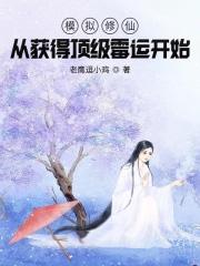 模拟修仙攻略