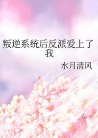 反叛系统