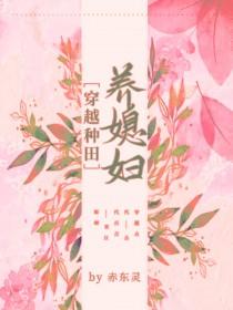 穿越种田养儿记