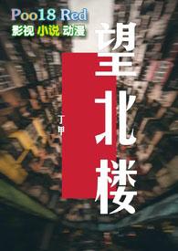 望北楼盘TXT