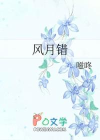 风月错写的什么