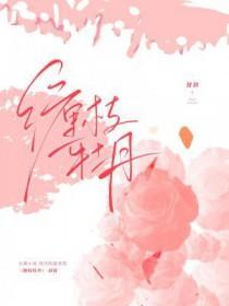 缠枝牡丹纹寓意