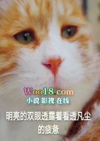 未婚先孕不合法安雷全文