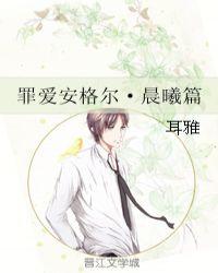 罪爱安格尔介绍