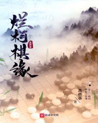 烂柯棋缘txt校对版