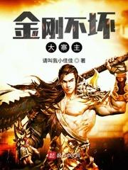 金刚不坏大寨主电子书