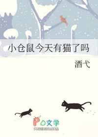 小仓鼠今天有猫了吗免费阅读