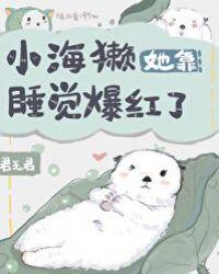 小海獭她靠睡觉爆红了14