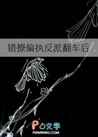 错撩偏执男主后我甩不掉了读零零