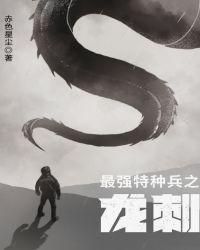 最强特种兵之龙刺有几部